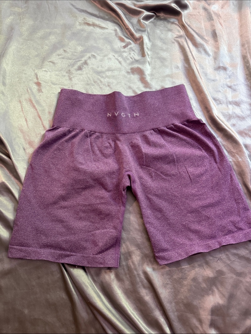 Violet Pro Seamless Shorts